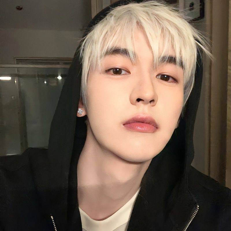 S925 Sterling Silver Stud Earrings Men's Trendy Pu Handsome Personality Men's Cross Hip Hop High Sense Boys Simple Zircon Ears VOiH