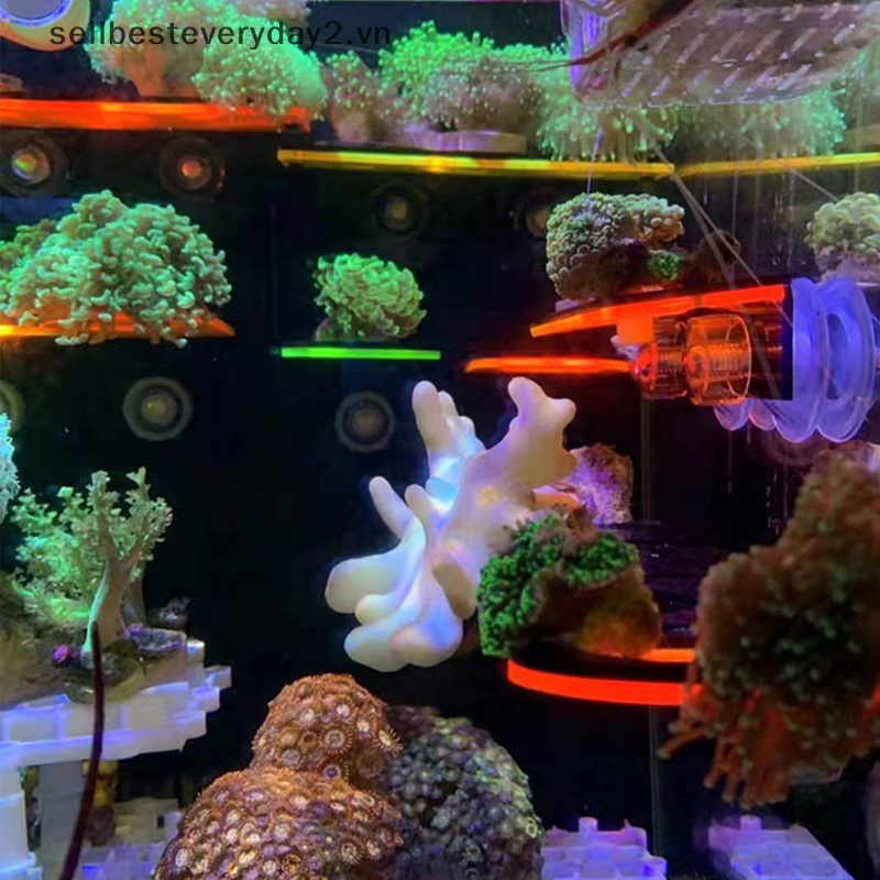 Giá Đỡ Bể Cá Màu San Hô San Hô Huỳnh Quang Có Giác Hút Giữ Bể Cá