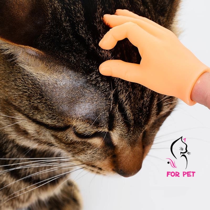 🤹 Đồ Chơi Mô Hình Bàn Tay Mát Sa và Trêu Chọc Chó Mèo