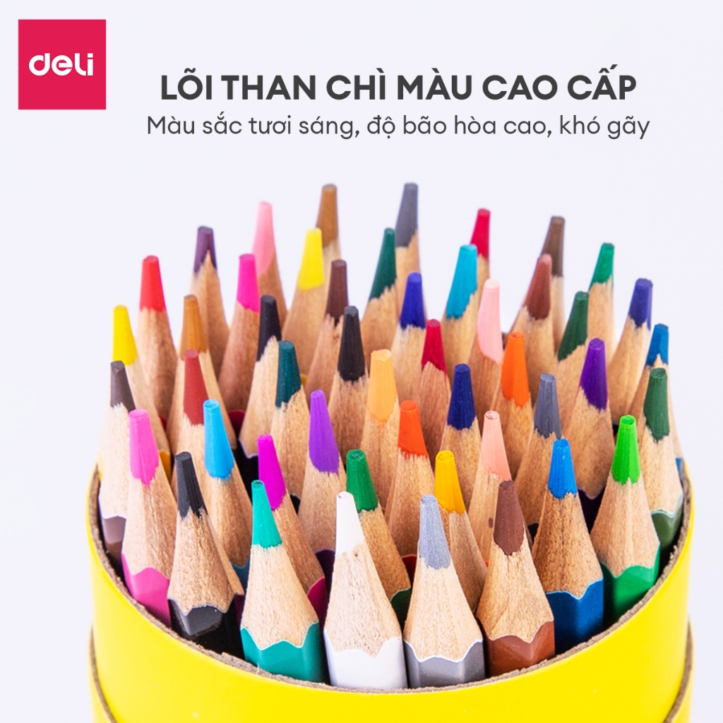 [HỌA CỤ DELI] Bút chì màu gốc dầu dạng cốC 12/24/36/48 màu sắc tươi sáng, chì không dễ gãy cho học sinh, chuyên nghiệp