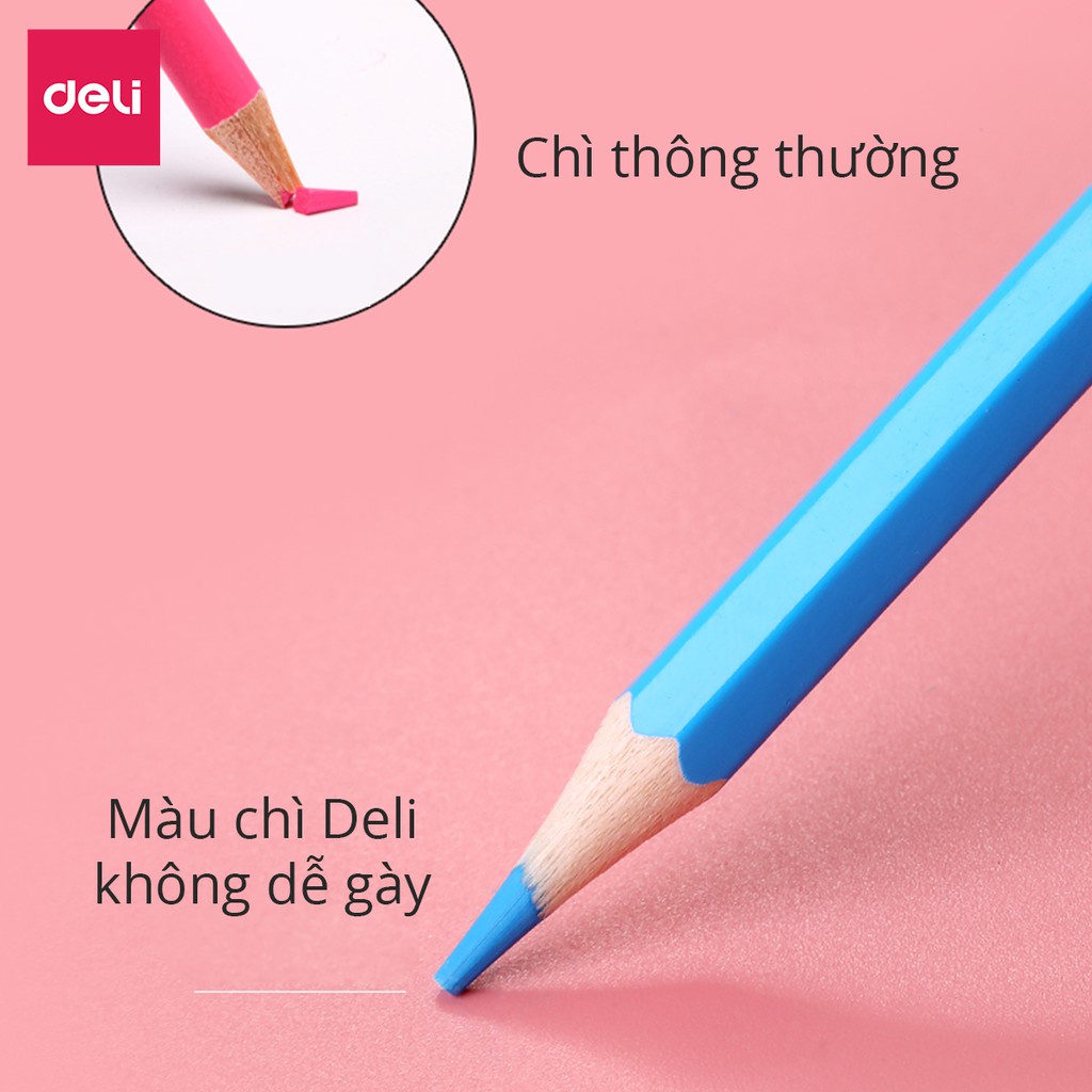 [HỌA CỤ DELI] Bút chì màu gốc dầu dạng cốC 12/24/36/48 màu sắc tươi sáng, chì không dễ gãy cho học sinh, chuyên nghiệp