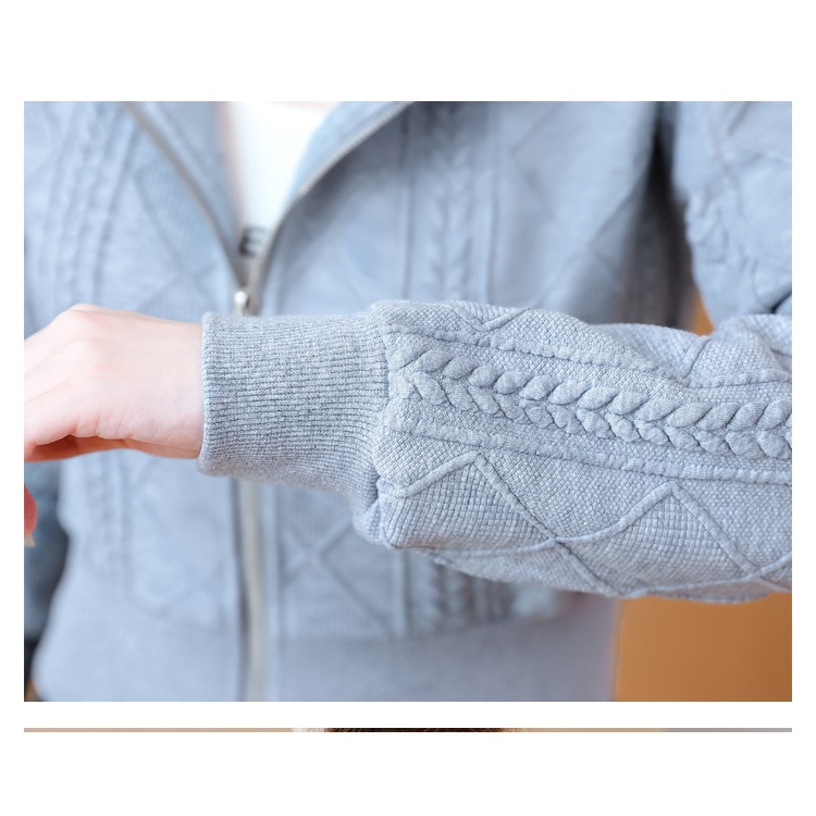 Áo Khoác sweater Ngắn Có Mũ Trùm Phối Khóa Kéo Thời Trang Thu Đông 2023