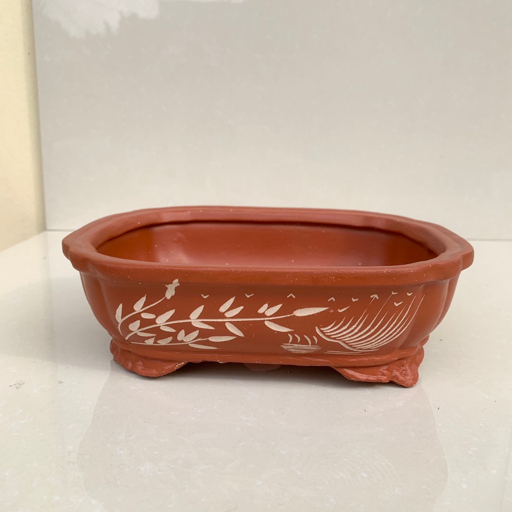 Chậu áng mây bonsai cây cảnh màu đỏ 1 size SP589