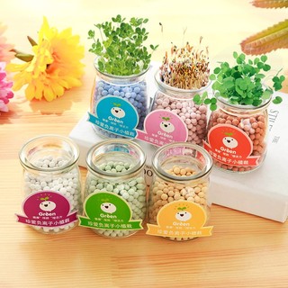 Lọ trồng cây tự nảy mầm thần kì mini để bàn kèm hạt giống 5.5x7.5cm