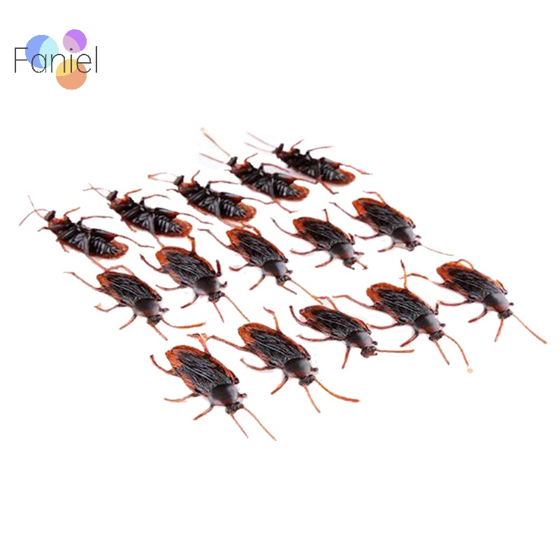 Set 10 Mô Hình Con Gián Giả Bằng Cao Su Đặc Biệt Sống Động Như Thật M I