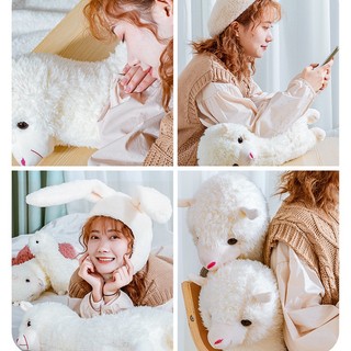 Phụ Kiện Chuyên Dụng Cho Búp Bê