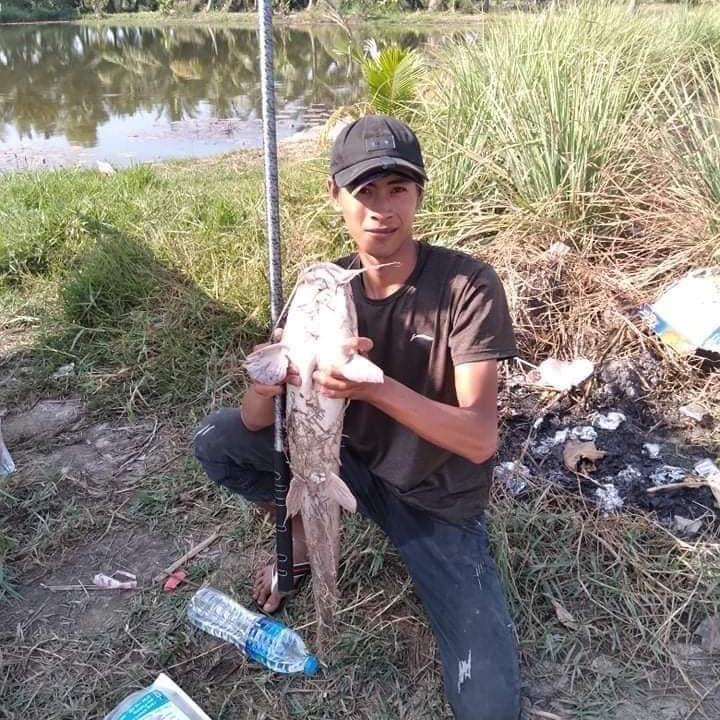 Cần câu đài chính hãng Osny Hắc Ngưu  10H