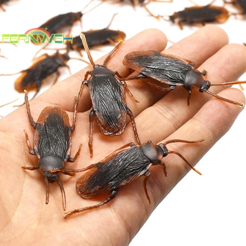 Set 10 Con Gián Giả Bằng Cao Su Đồ Chơi Giống Thật Đặc Biệt