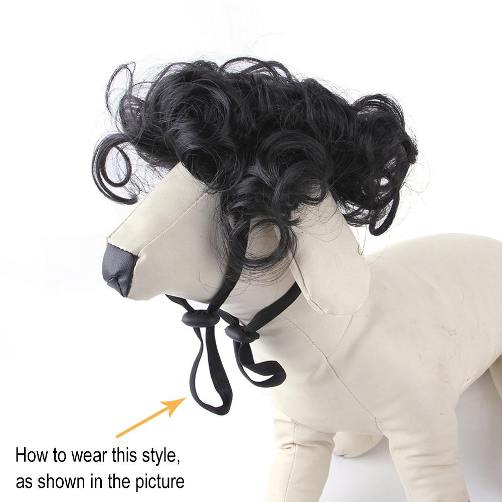 Bộ Tóc Giả Ngắn Xoăn Dành Cho Thú Cưng y4c9