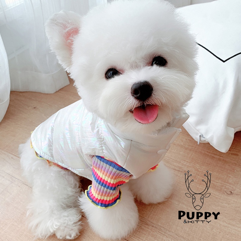 Áo Khoác Giữ Ấm Mùa Đông Chống Thấm Nước Dành Cho Chó chihuahua