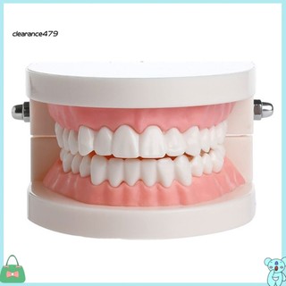 Mô hình hàm răng giải phóng mặt bằng 479 nha khoa
