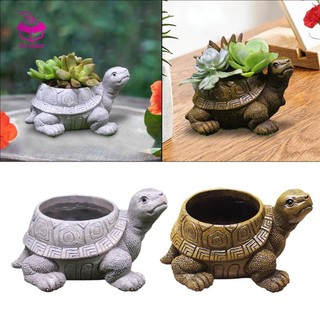 Devoko Chậu Trồng Cây Hình Rùa Cho Sân Vườn