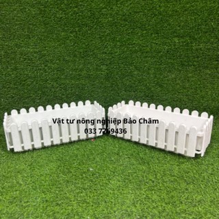 Chậu hàng rào to 4515