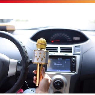 (Bán buôn-chuyên sỉ) Mic Karaoke Ws-858
