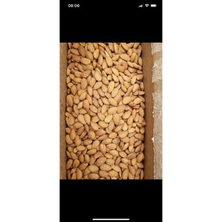Hạnh Nhân Sống Nhập Khẩu Úc