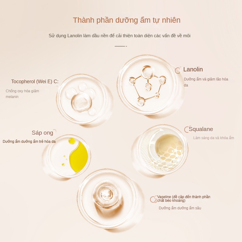 VASELINE Son Dưỡng Môi Cấp Ẩm Không Phai Màu Chất Lượng Cao