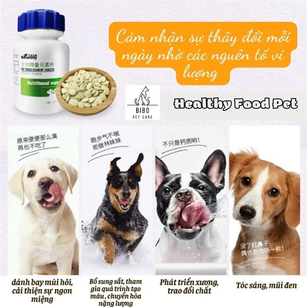 Vitamin cho chó mèo Borammy cung cấp canxi men tiêu hóa nguyên tố vi lượng thải độc gan thận dưỡng lông bóng mượt
