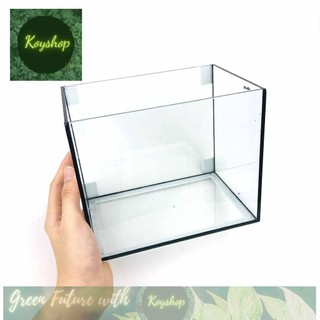 Bể cá mini hồ cá betta hồ cá vuông để bàn hv 18x12x15 - bể cá mini để bàn thủy tinh.