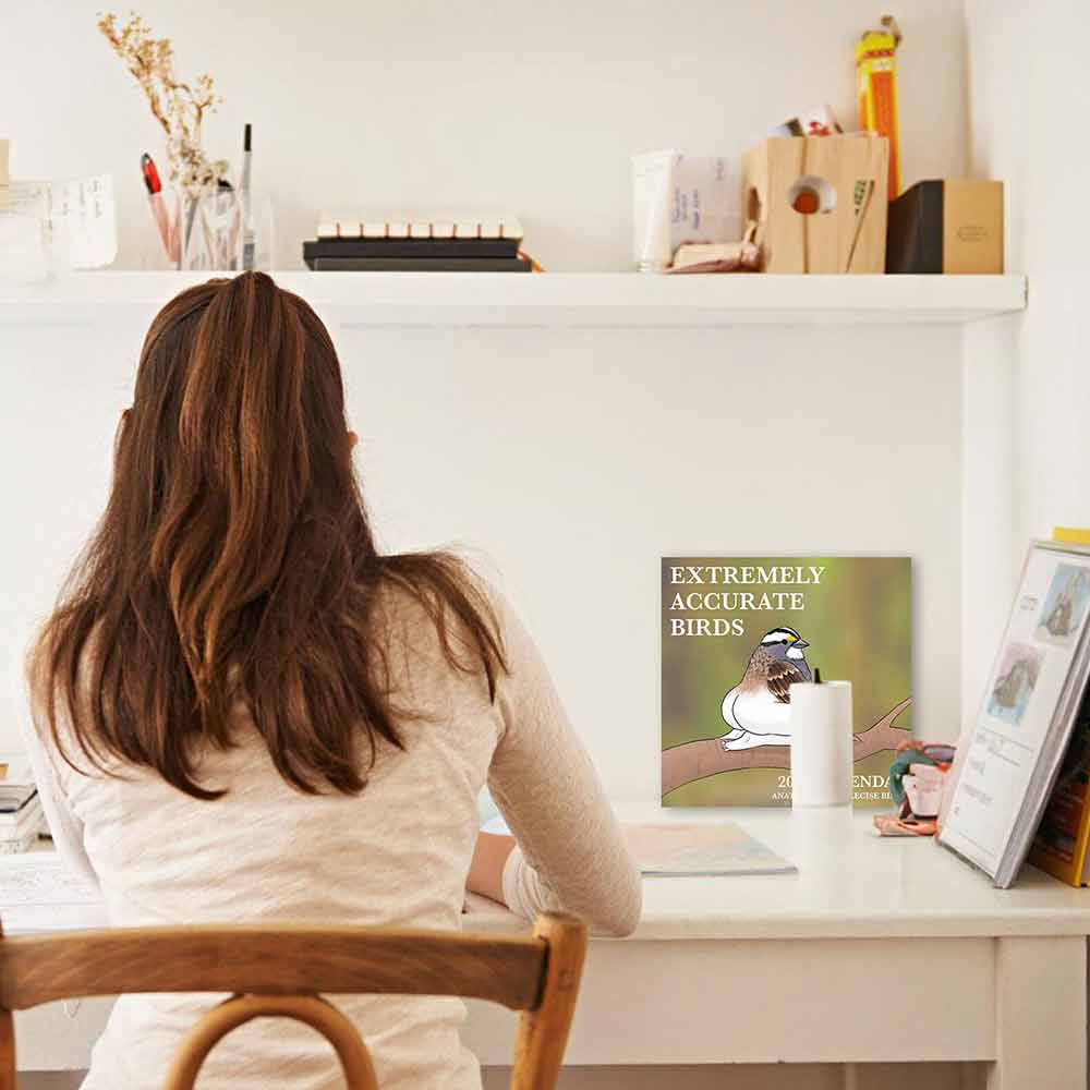 2024 Calendar Of Extremely Accurate Birds | Decorative Wall Monthly Calendars