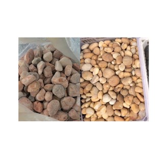 Sỏi trang trí hồ cá mini