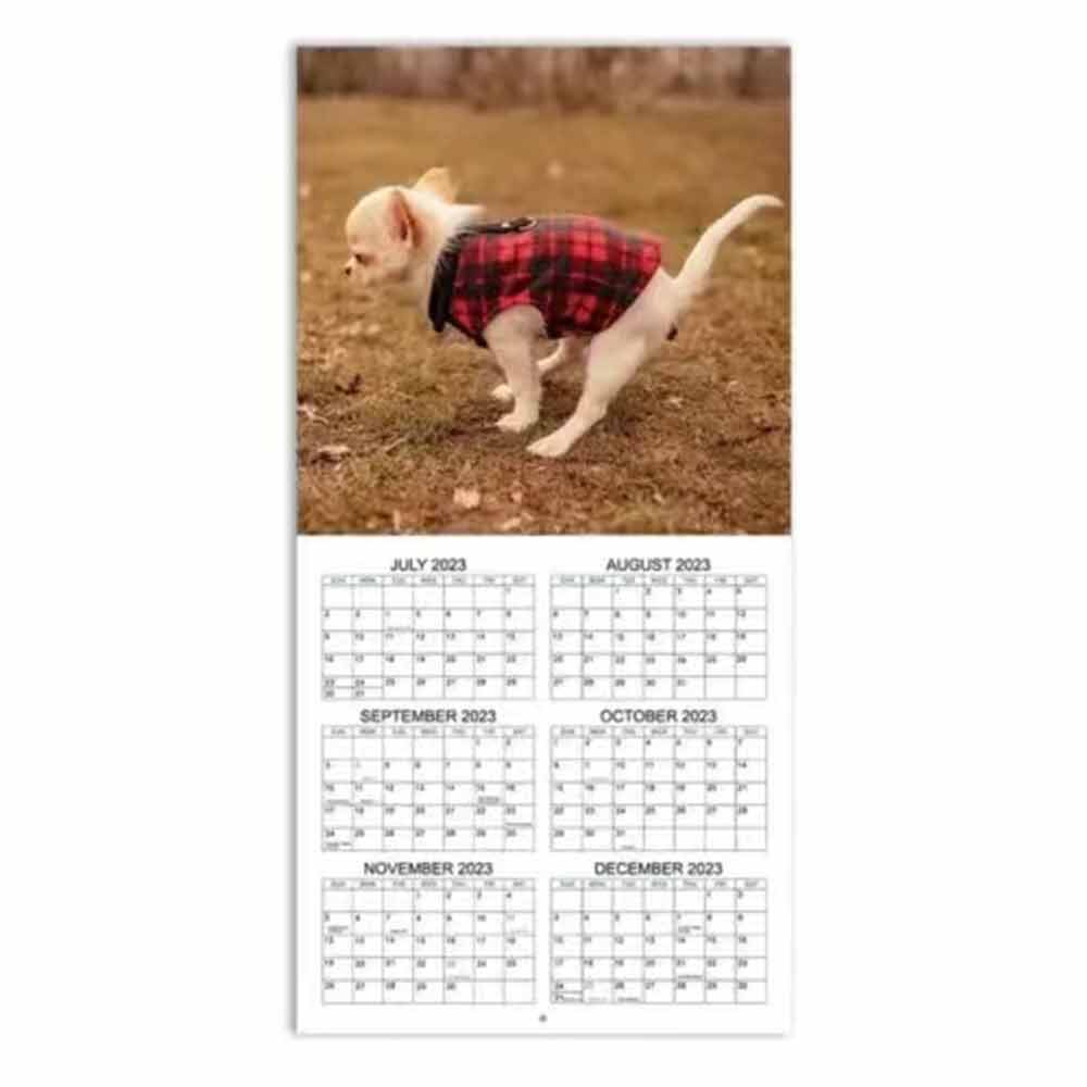 2024 Wall Calendar 12 Monthly Pooping Dogs Calendar Funny Dog Calendar Gag Gifts,Perfect White Elephant Christmas Gift