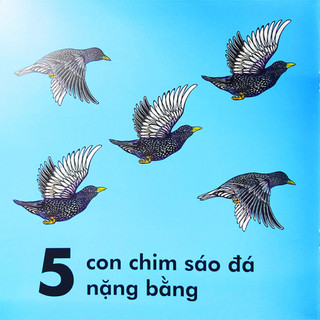 Sách Bọ Rùa Nặng Chừng Nào? (Tái Bản 2023)