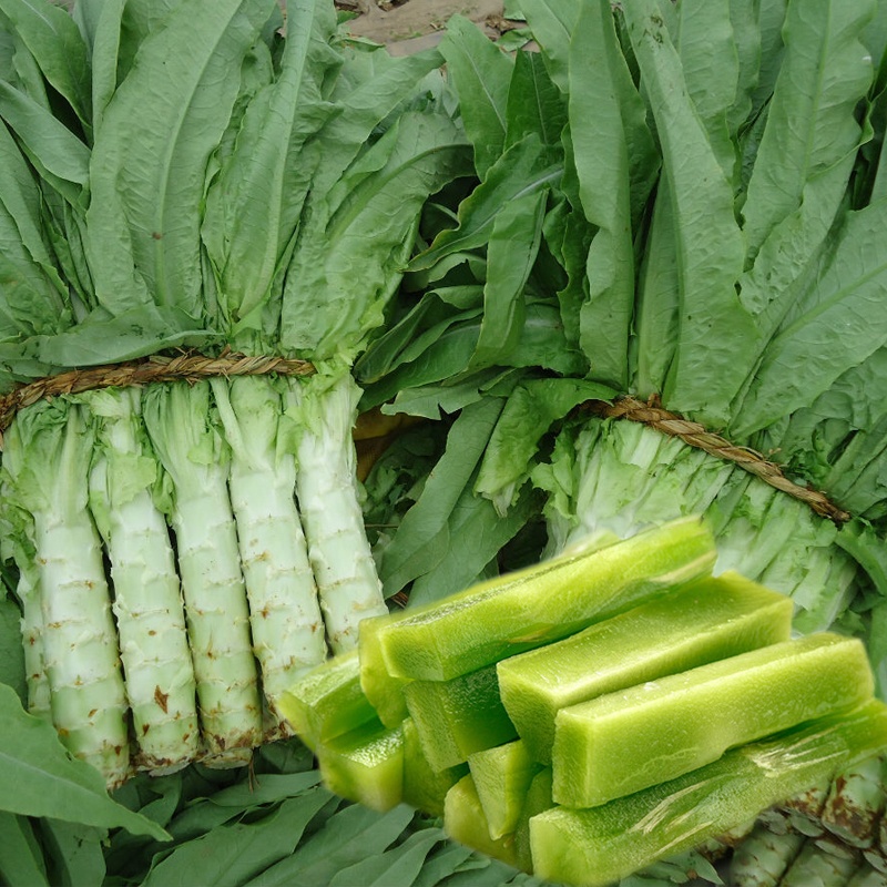 Hạt giống rau tiến vua , dễ trồng, năng suất cao, ngon nọt - h2t farm