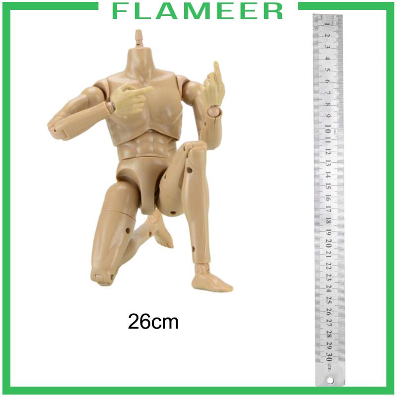 Mô Hình Cơ Thể Nam 12 inch Tỉ Lệ 1 / 6