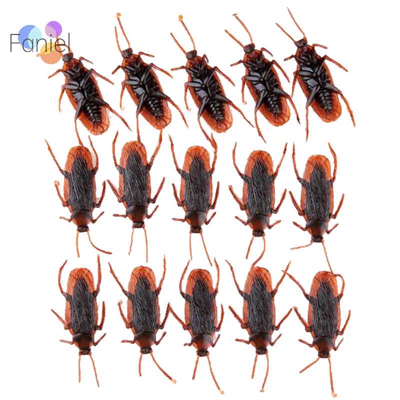 Set 10 Mô Hình Con Gián Giả Bằng Cao Su Đặc Biệt Sống Động Như Thật M I