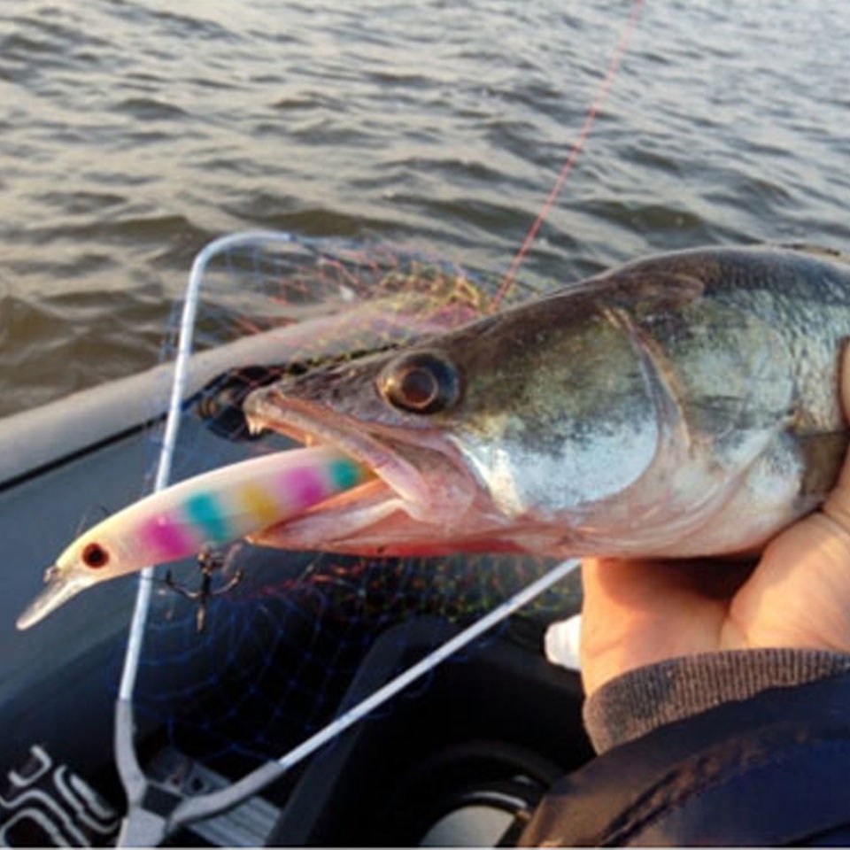 Mồi Câu Cá Giả Hình Cá Dạ Quang Kích Thước 110mm Trong Lượng 14g