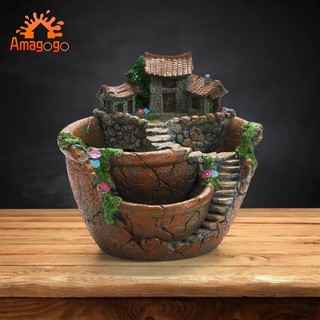 Amagogo chậu hoa / cây cảnh / cảnh quan / cây cảnh độc đáo trang trí nhà cửa