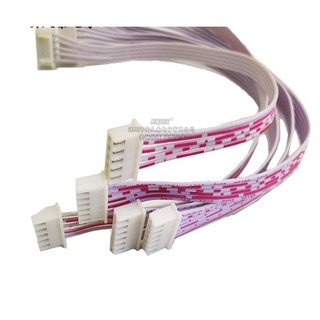 Dây Bus Trắng XH2.54mm 2 Đầu 2 pin 20CM