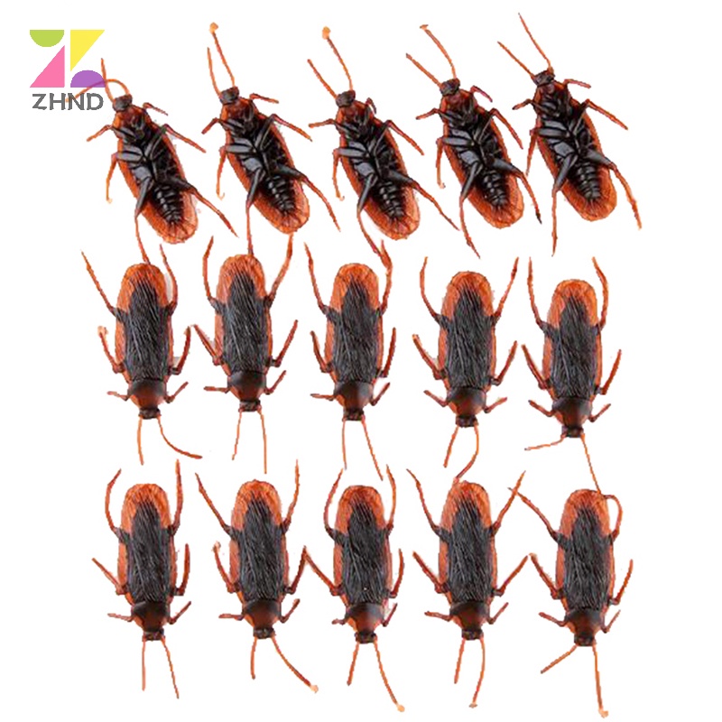 Zhuzhengde Set 10 Mô Hình Con Gián Giả Bằng Cao Su Sống Động Như Thật