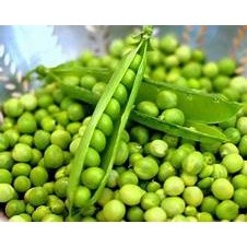 5gr hạt giống đậu hà lan thu trái trồng quanh năm, năng suất cao - bạn của nhà nông