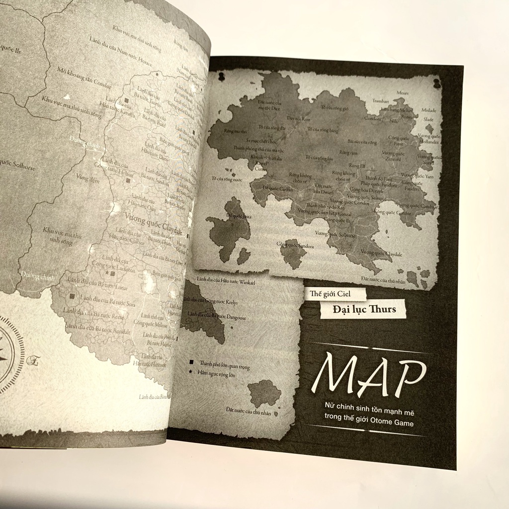 Sách Nữ Chính Sinh Tồn Mạnh Mẽ Trong Thế Giới Otome Game  - Bản Quyền