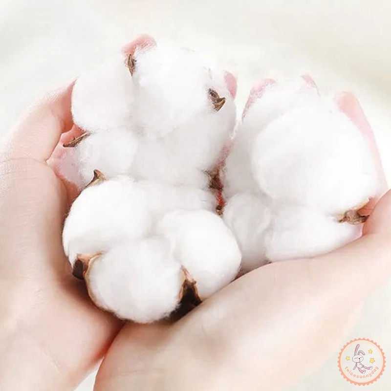 Vớ Cotton Cổ Cao Màu Trơn Dễ Thương Cho Bé