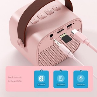 Loa Karaoke Bluetooth K12, Micro Hát Karaoke Bluetooth, Loa Hát Karaoke Mini Bluetooth 2 Micro