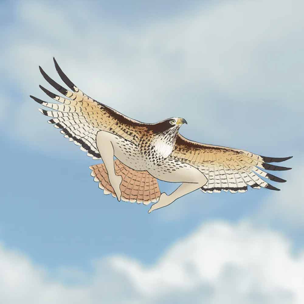 2024 Calendar Of Extremely Accurate Birds | Decorative Wall Monthly Calendars