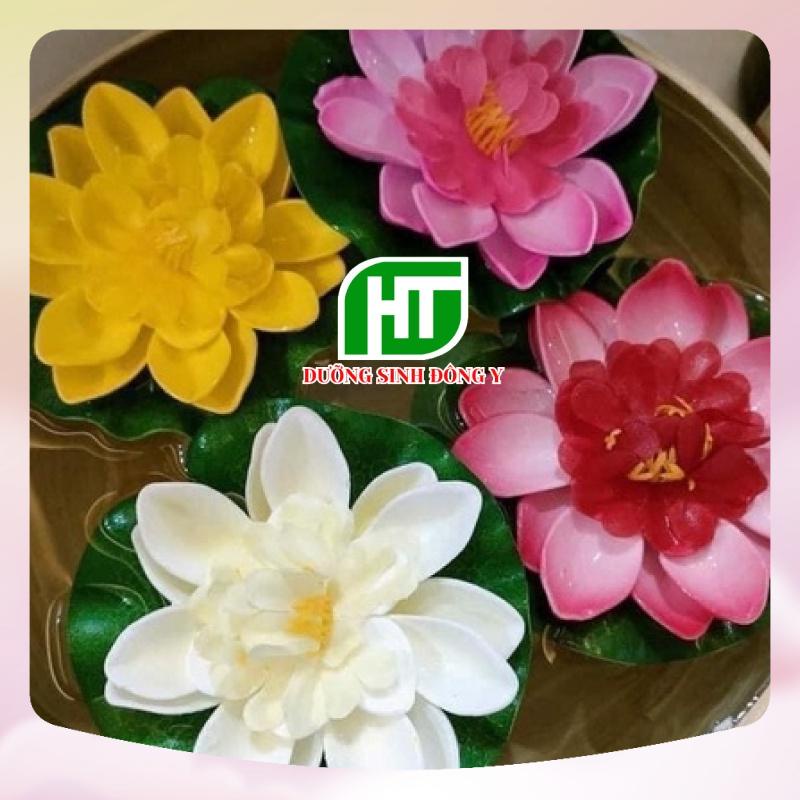 Máy Tạo Khói Bồn Gội Đầu Dưỡng Sinh, Máy Sục Khói Mini, Hoa Sen Thả Nổi Trang Trí