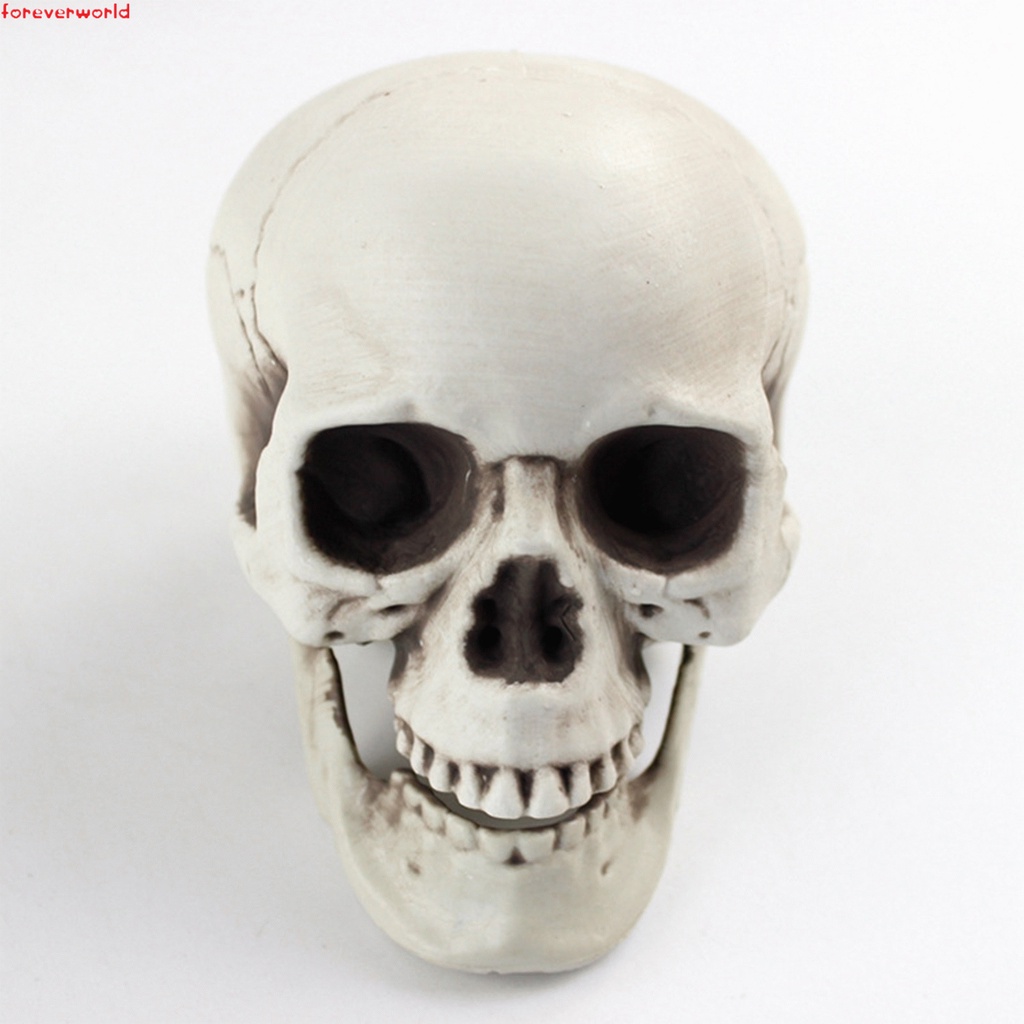 Mô Hình Đầu Lâu Trang Trí halloween