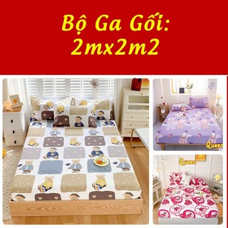 Bộ ga giường và 2 vỏ gối size 2mx2m2 💖bộ drap giường 3 món cotton 3d bo chun miễn phí