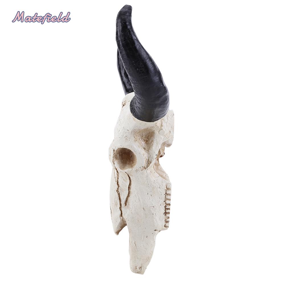 Tượng Đầu Lâu Bò 3d Treo Tường Trang Trí Nội Thất