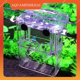 Lồng dưỡng cá, ép cá đẻ, tách cá bệnh AQUA MINH KHAI