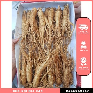 Sâm hầm gà 22-25 củ, sâm hàn quốc