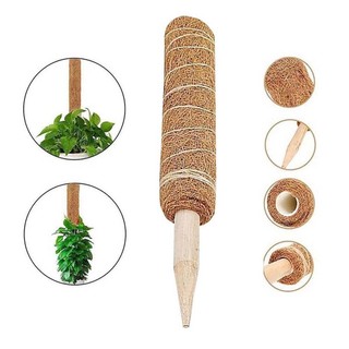 Trụ cột xơ dừa cho cây leo bám cột 30/40/50cm-mommy
