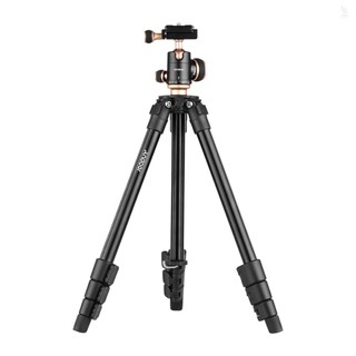 Gậy ba chân andoer q160sa có thể điều chỉnh độ cao cho máy ảnh kỹ thuật số dslr
