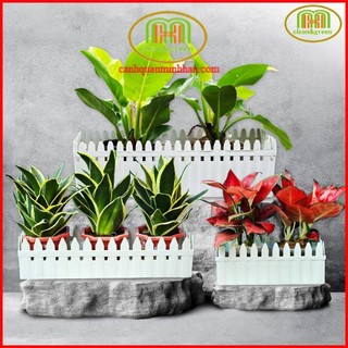 Chậu nhựa hàng rào trồng cây size lớn dày có vỉ có lỗ thoát nước tránh ngập úng màu trắng tinh tế