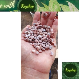 1kg Sỏi màu trắng, vàng hồng, đen Trang trí chậu cây nhiều màu lựa chọn.
