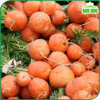 Hạt giống Cà Rốt Tròn dễ chăm sóc, trồng quanh năm gói 2 g giống Rạng Đông