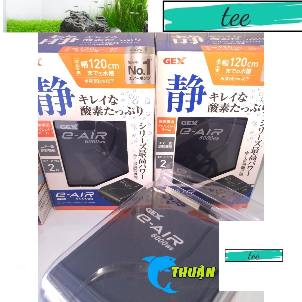 MÁY SỦI OXY 2 VÒI SIÊU ÊM GEX E-AIR 6000SB 2 Vòi CHO HỒ CÁ CẢNH ( GEX 6000 SB )